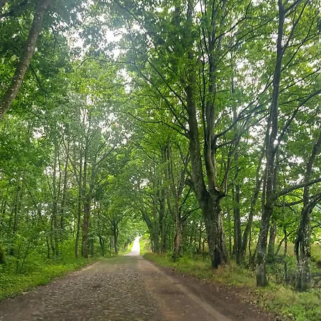 1 Bedroom Cozy In * Bytów