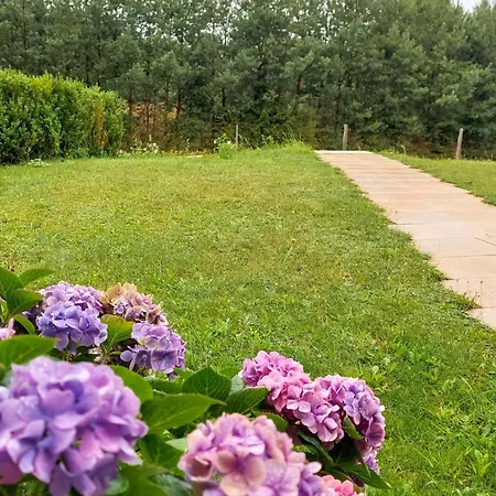 Feriehus 1 Bedroom Cozy In Bytów