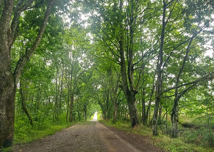 1 Bedroom Cozy In * Bytów